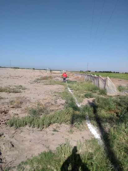 Mientras tanto se estará abasteciendo con pipas durante los días que duren los trabajos. (EL SIGLO DE TORREÓN)