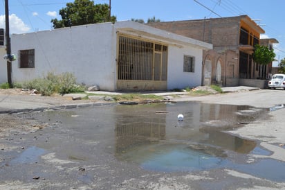 Suciedad. Malos olores se perciben alrededor del cruce de la calle González y Eusebio Herradón. (EL SIGLO DE TORREÓN/ROBERTO ITURRIAGA)