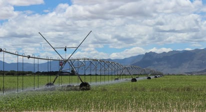 Los más de 28 millones de pesos son en beneficio de mil 948.23 hectáreas de la Comarca Lagunera de Coahuila y Durango. (EL SIGLO DE TORREÓN)