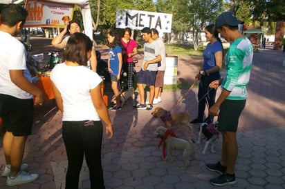 Perros. El evento realizado en el Vivero Forestal Lerdo fue por conmemoración del Día del Perro. (EL SIGLO DE TORREÓN)