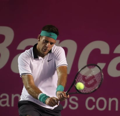 Juan Martín del Potro batalló para derrotar 6-3, 7-6 a Damir Dzumhur, con lo que llegó a la final del Abierto de Los Cabos. (Notimex)