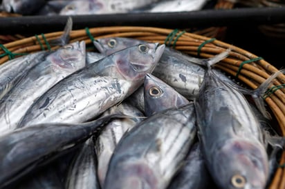 Si las embarazadas comen más pescado o toman suplemento de aceite de pescado se podría reducir el riesgo de partos prematuros. (ARCHIVO)