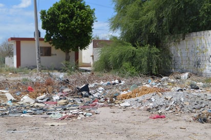 Suciedad. Hay terrenos abandonados de la colonia Valle Hermoso en Matamoros y que están sucios. (EL SIGLO DE TORREÓN/ROBERTO ITURRIAGA)