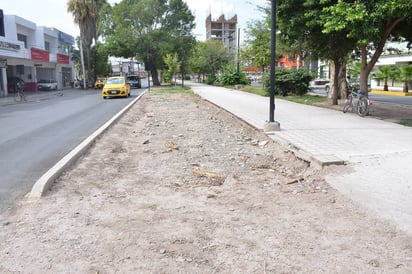 Se seca. El anterior riego lo destruyeron con la cordonería. (FERNANDO COMPEÁN)