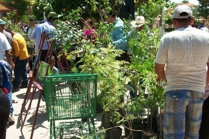 Organización. En la campaña de forestación que se lleva a cabo en Matamoros se pretende plantar 10 mil árboles. (EL SIGLO DE TORREÓN/MARY VÁZQUEZ)