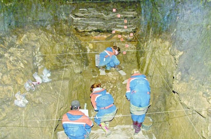 Logro. Un equipo científico informa del hallazgo de una mujer prehistórica cuya madre era neandertal mientras su padre pertenecía a otro grupo extinguido de parientes del ser humano conocido como hombre de Denísova. (TWITTER)