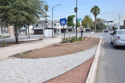 Imagen. Asegura el vocero de los arquitectos que la imagen del Paseo Colón es residencial y no urbana como se requiere. (EL SIGLO DE TORREÓN) 