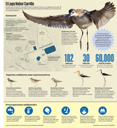 El Lago Nabor Carrillo revitalizó en cierta forma los servicios ecológicos naturales del área. (EL UNIVERSAL)
