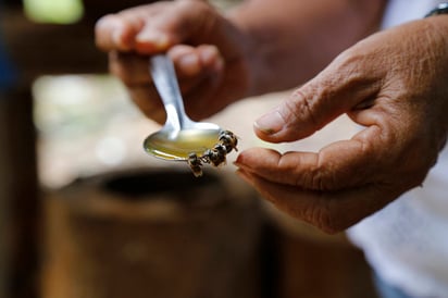 Dificultades. Otro obstáculo se presenta para apicultores: el bajo precio de la miel en el mercado. (EL SIGLO DE TORREÓN)