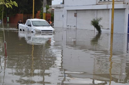 Además, se realizaron nebulizaciones en la colonia Santiago Ramírez, Lázaro Cárdenas y Torreón Residencial; fueron beneficiados tres mil 546 habitantes, fumigando más de mil 363 viviendas más de seis mil 384 depósitos de agua en los que se aplicó larvicida para combatir vectores. (EL SIGLO DE TORREÓN)