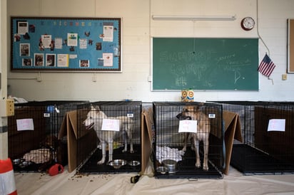 A salvo. Varios dueños han dejado a sus perros en resguardo para que no peligren ante la llegada de Florence. (EFE)