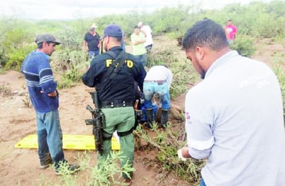 Indicador. Se siembra mucha más amapola que marihuana, según un reporte militar.