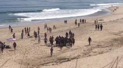 El incidente ocurrió alrededor del mediodía cuando el hombre estaba nadando en Newcomb Hollow Beach, en la comunidad de Wellfleet, Massachusetts. (ARCHIVO)