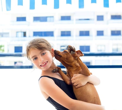 Esta acción es muy común cuando dos perros o más conviven mucho. (ARCHIVO)