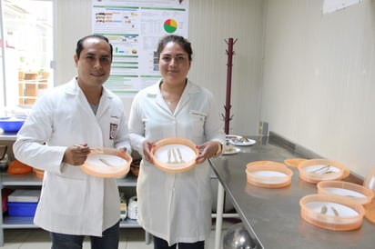 Con la finalidad de conservar las propiedades de alimentos funcionales, únicamente usan salvado de arroz, agua e ingredientes naturales. (EFE)