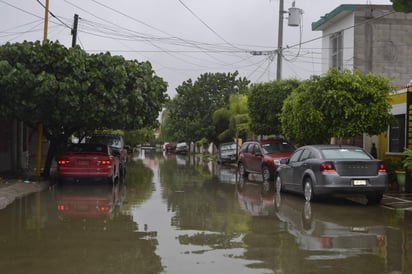 El mayor riesgo ante esta temporada de precipitaciones es la proliferación del vector que trasmite el dengue, el aedes aegypti, pero para ello se trabaja de manera reforzada en las acciones preventivas. (ARCHIVO)