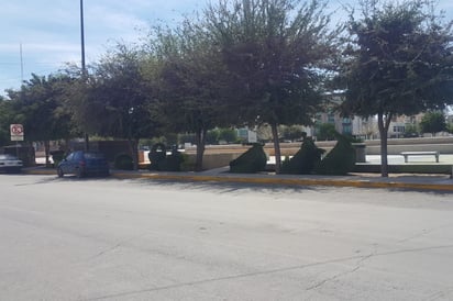 Cuidado. Desde ayer lunes, mujeres agentes de vialidad iniciaron un operativo de retiro de placas en perímetro de Plaza Mayor. (EL SIGLO DE TORREÓN)