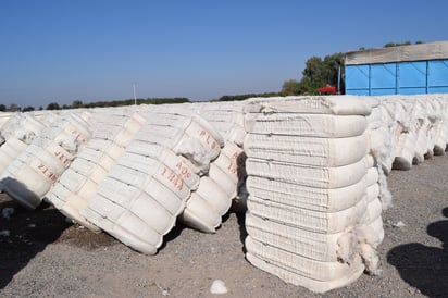 Llamado. Llaman a dejar de lado ideales políticos para plantear soluciones, a fin de concretar la reactivación del campo. (ARCHIVO)