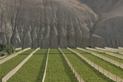 El programa Euroclima+ está vigente desde 2010 con el fin de mejorar el conocimiento en América Latina acerca de los problemas y las consecuencias del cambio climático, para así integrar estrategias de desarrollo sostenible en cada país. (TWITTER)