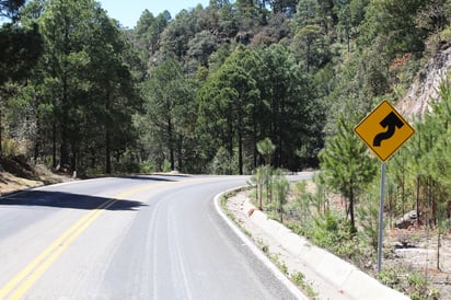 Análisis. Recomiendan la construcción de más infraestructura carretera y rescate de espacios. (EL SIGLO DE TORREÓN)