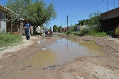 Encharcada. Esta fuga de agua potable inunda prácticamente toda la calle que es de tierra. (EL SIGLO DE TORREÓN)