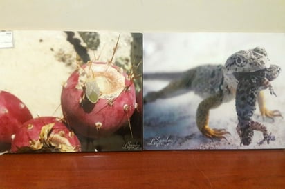 Acudan. Invitan a la exposición de fotografía del Desierto Chihuahuense. (EL SIGLO DE TORREÓN)