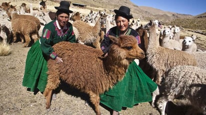 Cada año, la celebración de este día se centra en un tema en específico, el de este 2018 es 'Infraestructura, servicios y protección social sostenibles para la igualdad de género y el empoderamiento de las mujeres y niñas rurales'. (ONU)