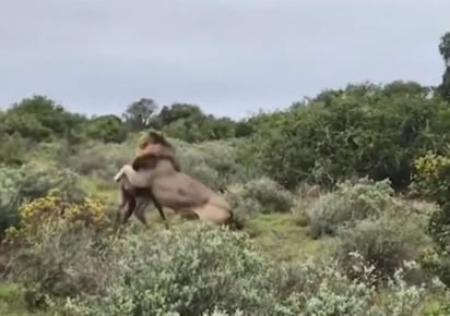 Video publicado por turista. (INTERNET)