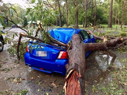 El auto cayó sobre ellos, pero ni siquiera estaban estacionados cerca de un árbol. (INTERNET)