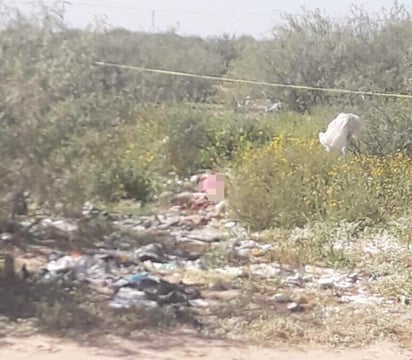 El hallazgo se registró en un terreno de Matamoros. (EL SIGLO DE TORREÓN) 