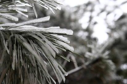 La Conagua alertó que será el lunes cuando este panorama de temperaturas bajas y presencia de aguanieve se generalice para las regiones montañosas de Nuevo León y Coahuila. (ARCHIVO)