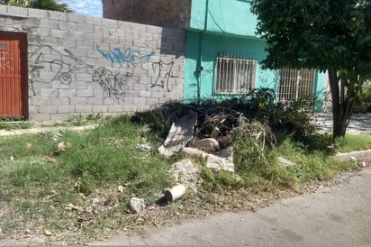 Ninguna autoridad ha acudido a limpiar la zona. (EL SIGLO DE TORREÓN)