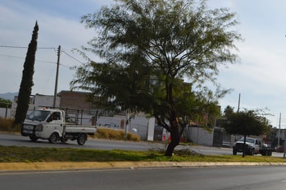 Afirman que se encuentra a punto de caer a la zona de circulación vehicular. (EL SIGLO DE TORREÓN)