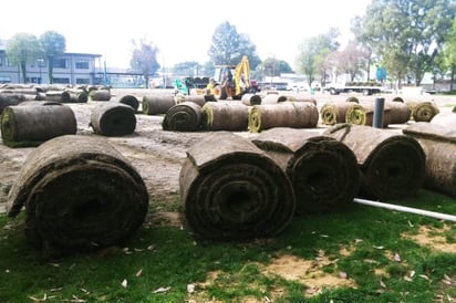 Los rollos con el pasto híbrido siguen saliendo de la cancha 1 de Coapa rumbo al Estadio Azteca.