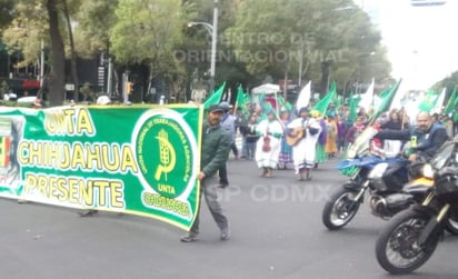 Alrededor de 3 mil 500 campesinos iniciaron desde el Ángel de la Independencia una marcha rumbo al Zócalo por Paseo de la Reforma para exigir al nuevo gobierno federal mayores apoyos al campo, debido a que aseguran que está en peligro la seguridad alimentaria del país. (TWITTER)