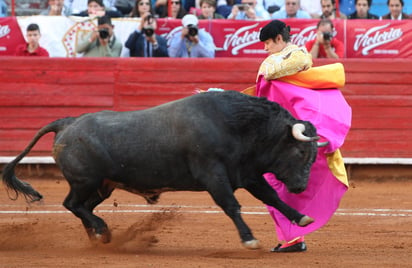 Será el domingo 13 de enero en la Plaza de Toros México, cuando Federico Pizarro diga adiós de forma definitiva de los ruedos al lado de Fermín Rivera y Gerardo Adame con astados de San Mateo, pero hoy lo hará de la Laguna.