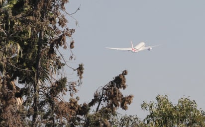 El avión presidencial TP01 José María Morelos y Pavón despegó a las 11:00 horas desde el Aeropuerto Internacional de la Ciudad de México (AICM), con destino a San Bernardino, California. (NOTIMEX)