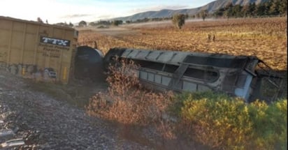 La mercancía del tren identificado con la matrícula FXE712510, fue redireccionada por las vías que conectan al municipio de Xalapa, Veracruz. (ESPECIAL)