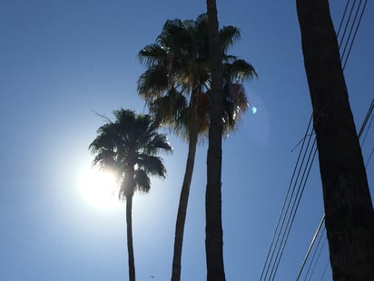 Pronóstico. La Conagua informó que para este jueves se espera la entrada de un nuevo frente frío. (EL SIGLO DE TORREÓN)