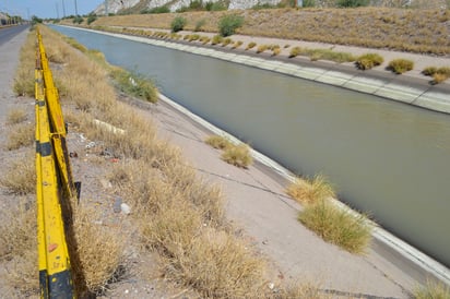 Ciclo. Confirma SAGDR que La Laguna podrá tener un ciclo agrícola prácticamente completo. (EL SIGLO DE TORREÓN)