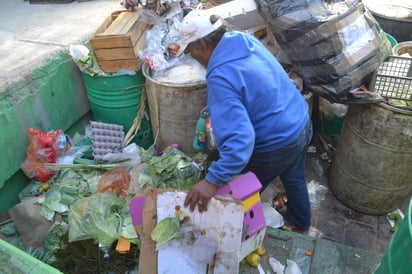 Se estima que recogieron más de 500 toneladas de desechos. (ARCHIVO) 