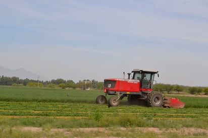 Queja. Los productores cenecistas se encuentran preocupados por los recortes en los recursos de programas para el sector campesino. (EL SIGLO DE TORREÓN)