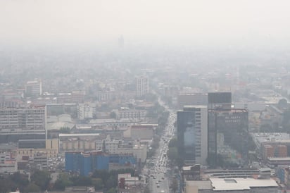 El problema de la contaminación es un tema prioritario, el cual requiere atención inmediata, así como la participación de organizaciones de la sociedad civil, la academia y el sector científico. (ARCHIVO)