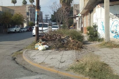 Los vecinos piden ayuda inmediata de parte de PASA, ya que la zona luce un mal aspecto. (EL SIGLO DE TORREÓN)