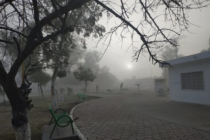 Clima. Sorprendió ayer la neblina en diversos puntos de la ciudad, fue más apreciable en La Laguna de Durango.