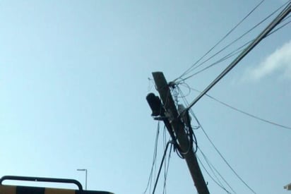 Fue un camión el que afectó la red eléctrica, causando un apagón generalizado en esa zona. (ARCHIVO)
