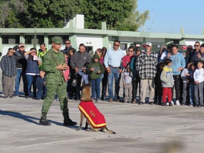 El Paseo Dominical contará con exhibiciones del escuadrón canino.