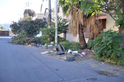 Se dejan bolsas con basura doméstica y hasta animales muertos a plena luz del día. (EL SIGLO DE TORREÓN)