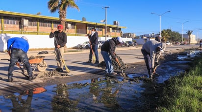 Labores. Intensifican en este sector las labores de limpieza que se ejecutan en distintos puntos de la ciudad. (CORTESÍA)