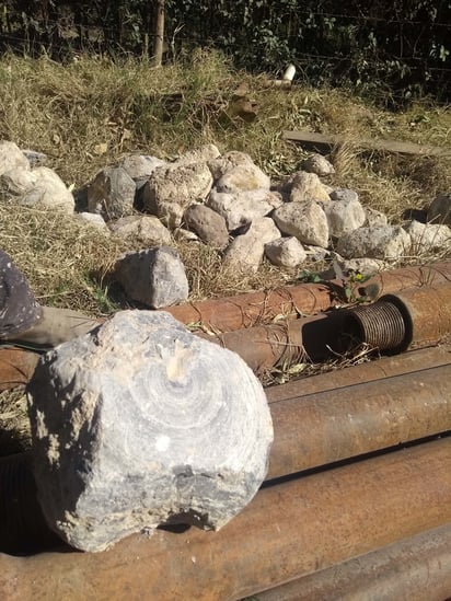 Las colonias del norponiente de Lerdo, las que se ubican por el periférico, cerca de Chapala, contarán con más agua gracias al nuevo pozo del Parque Nacional Raymundo que está a cargo de la CAED. (EL SIGLO DE TORREÓN)